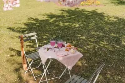 יין ורוד